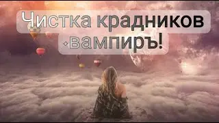 CLEANING KRADNIKOV+VAMPIRE