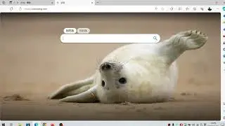 [1093]能免费使用OpenAI的chatGPT4了，不用花一分钱搞定。微软bing，免费替代GPT4，步骤简单，Microsoft新必应New Bing是一个基于GPT-4的语音聊天工具。