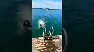 говорят он до сих пор плывет 🤣 