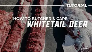 How to Butcher a WHOLE DEER (Caping a BUCK for the Taxidermist)