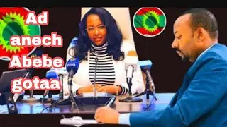 dhamssaa Adanech abebe adanech abebe  gota