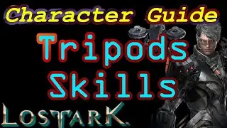 Lost Ark Character Guide #04 - Tripod System (4/6)