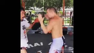 ✅🔥Тренировка Петра Яна🔥✅ #UFC