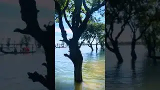 স্বপ্নের মত সুন্দর কিছু দিনের স্মৃতি ❤️ | পানকৌড়ি | টাঙ্গুয়ার হাওড়, সুনামগঞ্জ