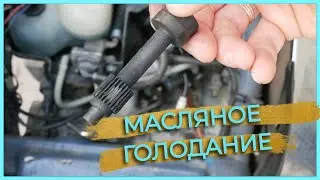 ЗАМЕНА МАСЛОНАСОСА И ШЕСТЕРНИ SUZUKI LETS