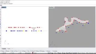 Minimal surface using Kangaroo for Grasshopper