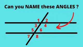Parallel Lines cut by a Transversal