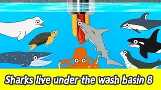 [EN] Sharks live under the wash basin 8, sea animals story, shark and whale namesㅣCoCosToy