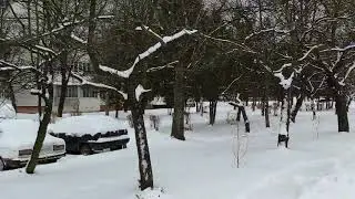 VID 20220121 123255