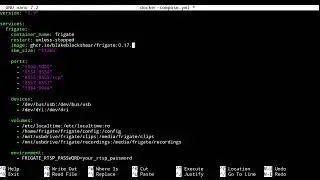 Update frigate server in docker using ssh