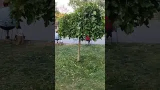 Харьков 