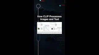 How CLIP Processes Images and Text 