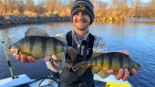 How To Catch Big Perch on the Mississippi River!