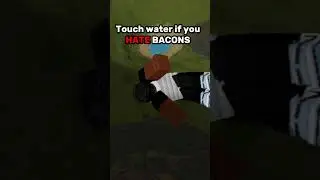 touch water if you HATE bacons! 🥓 