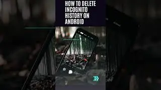 How to delete incognito history on Android // Clear host cache