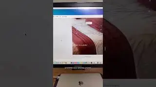 Como remover fundo de logo e mudar a cor no 