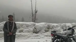 live in phalgam