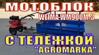Видеообзор 