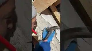 Проверка прочности бетона с помощью гвоздя