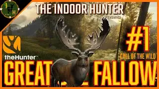 GREAT ONE FALLOW #1   And its a GIANT