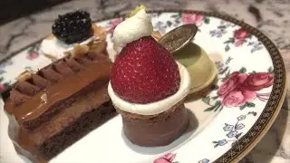 2014年12月6日 食蒲團 - 廷廊 Palm Court