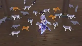 When you love many animals