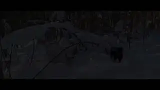 28 февраля 2024 г.