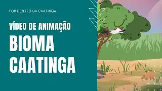 Animation: Caatinga Biome