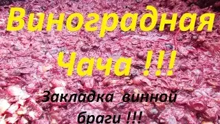 Изготовление "Чачи" своими руками !!! Как подготовить винную брагу для чачи !!!