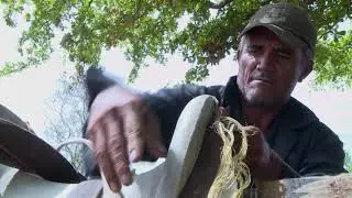 The Twilight of Venezuela's Cowboys
