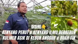 Uhuy Banget, Perut Kenyang, Hati Senang, Dapat Bonus Ilmu Menanam Pohon. KTC Farm Cikarang, Bekasi