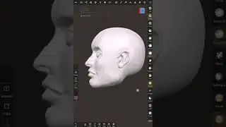 Hairs/face for face 1 speed sculpt marathon day 1 . Nomad Sculpt