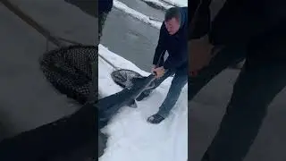 Запуск монстров уже сегодня
