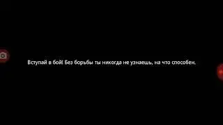 Я фокс и чо