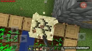 Выживание с другом