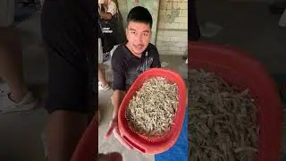 พาเที่ยวเกาะยาวใหญ่ ดูวิถีชีวิตชุมชน Unseen ตามรอยลิซ่า แหลมหาดเกาะยาวใหญ่ พังงา