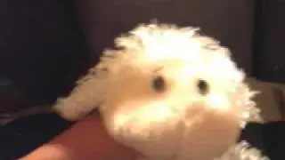 Angela The Webkinz Lamb Singing Fall to Pieces