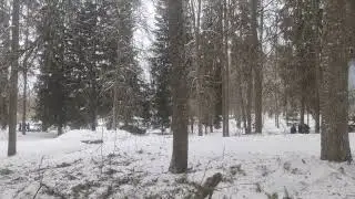 Музей Михайловское, игнорируя все кирпичи Мерседес с европейскими номера заехал к дому Пушкина.