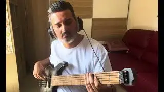David guetta dangerous bass cover cort space 5