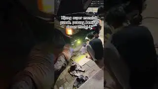 kisup menolak punah