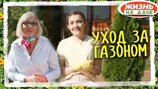 Уход за газоном! Просто и эффективно!