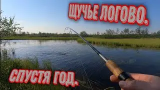 Один в ТУНДРУ. Щука на спиннинг. Снова посетил ЛОГОВО.