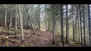 North Shore Hoedls - May 2024