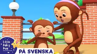 Fem söta apor | Little Baby Bum Svenska | Barnvisor