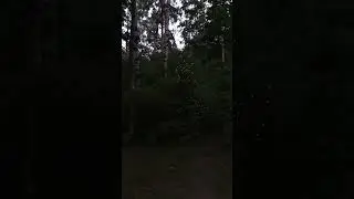 Готовь сани летом!