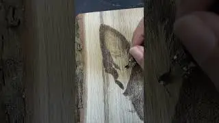 Wood burning a dog ear on oak