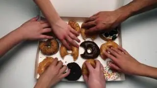 Rise Stop Motion