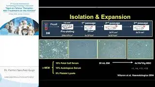 Dr. Fermin Sanchez-Guijo „Immunmodulation with MSC