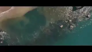 Музыка лета 2019