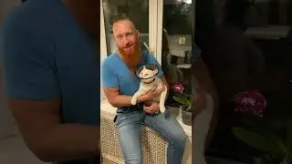 Показал кота ветеринару